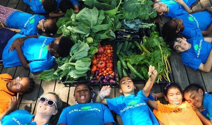 CCS Grantee: Harlem Grown Photo of children around freshly picked produce.